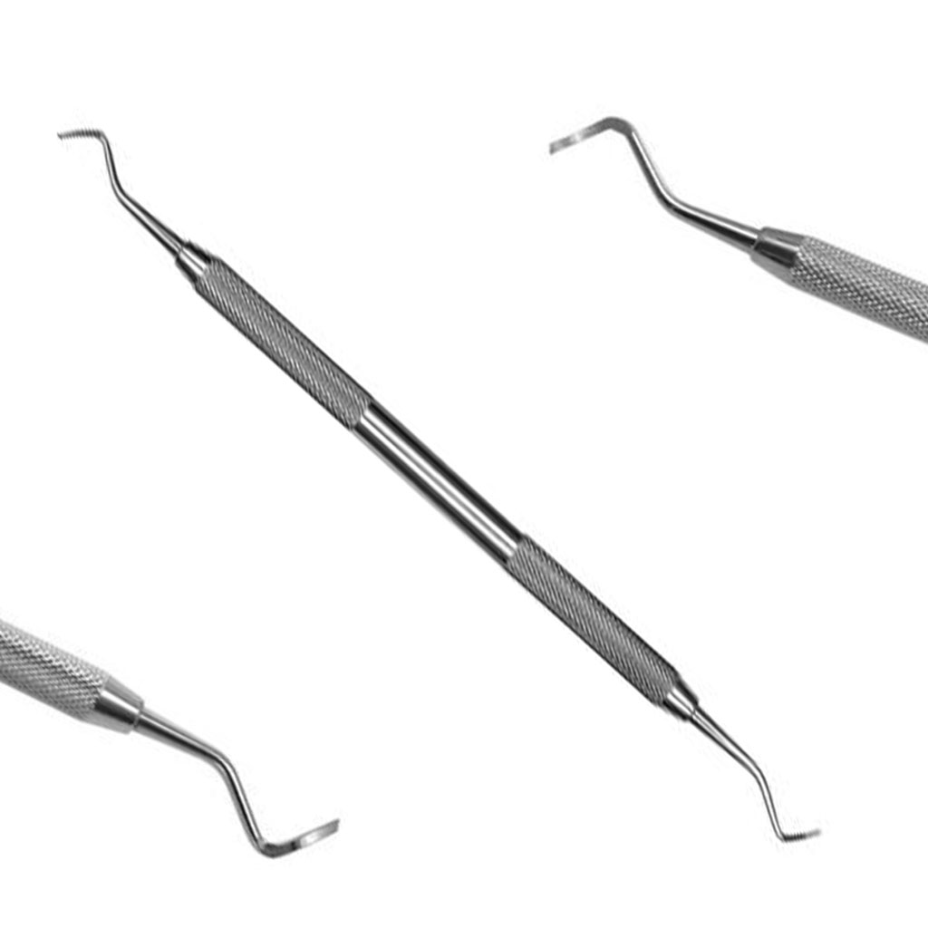Gingival Margin